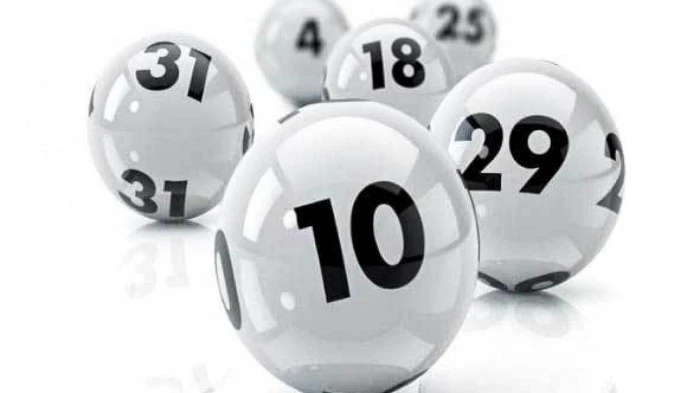 Khám Phá Thế Giới Thú Cưng Tại Cửa Hàng F8Pet